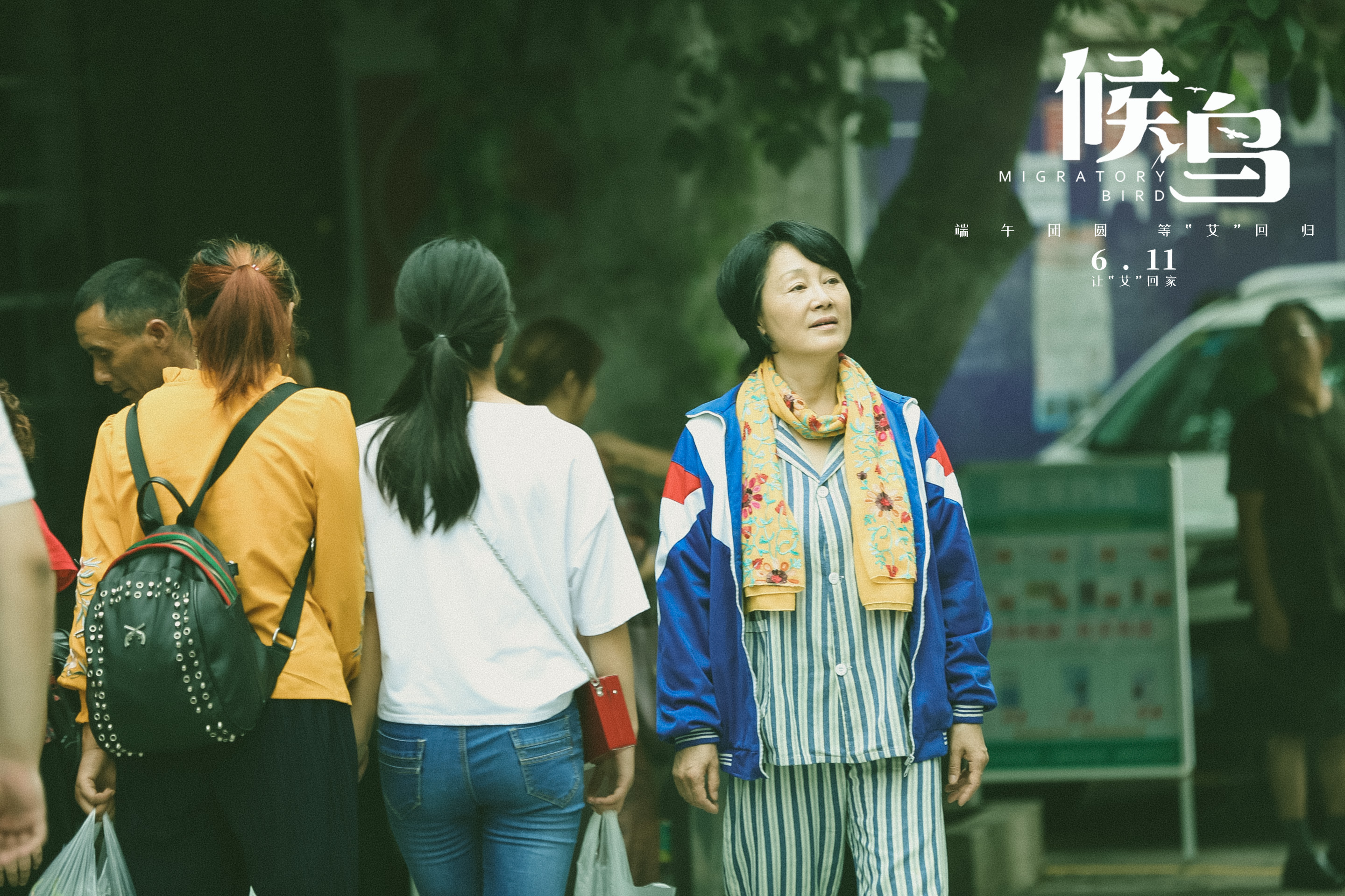候鸟剧照的剧照