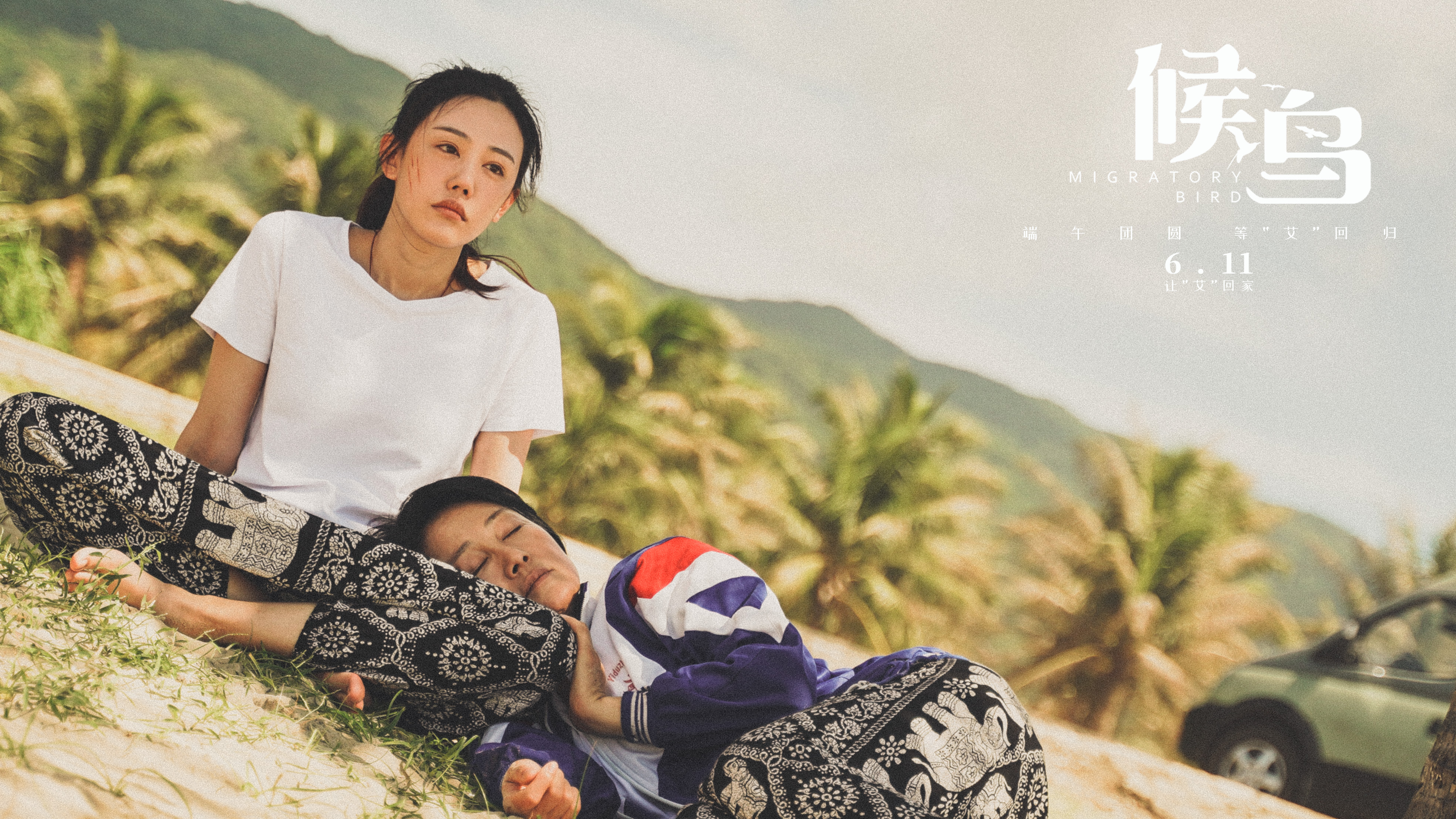 候鸟剧照的剧照