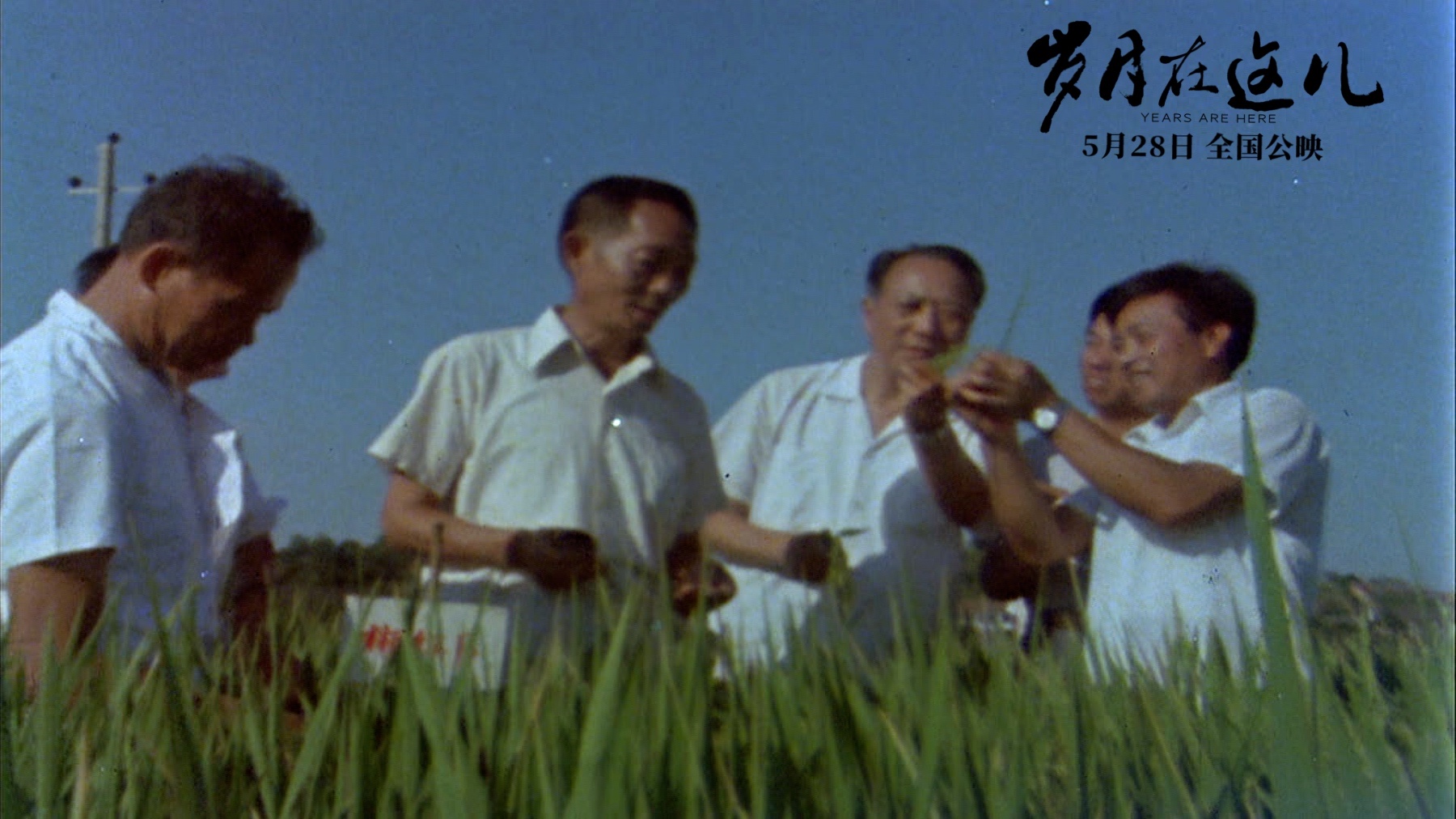 岁月在这儿剧照的剧照