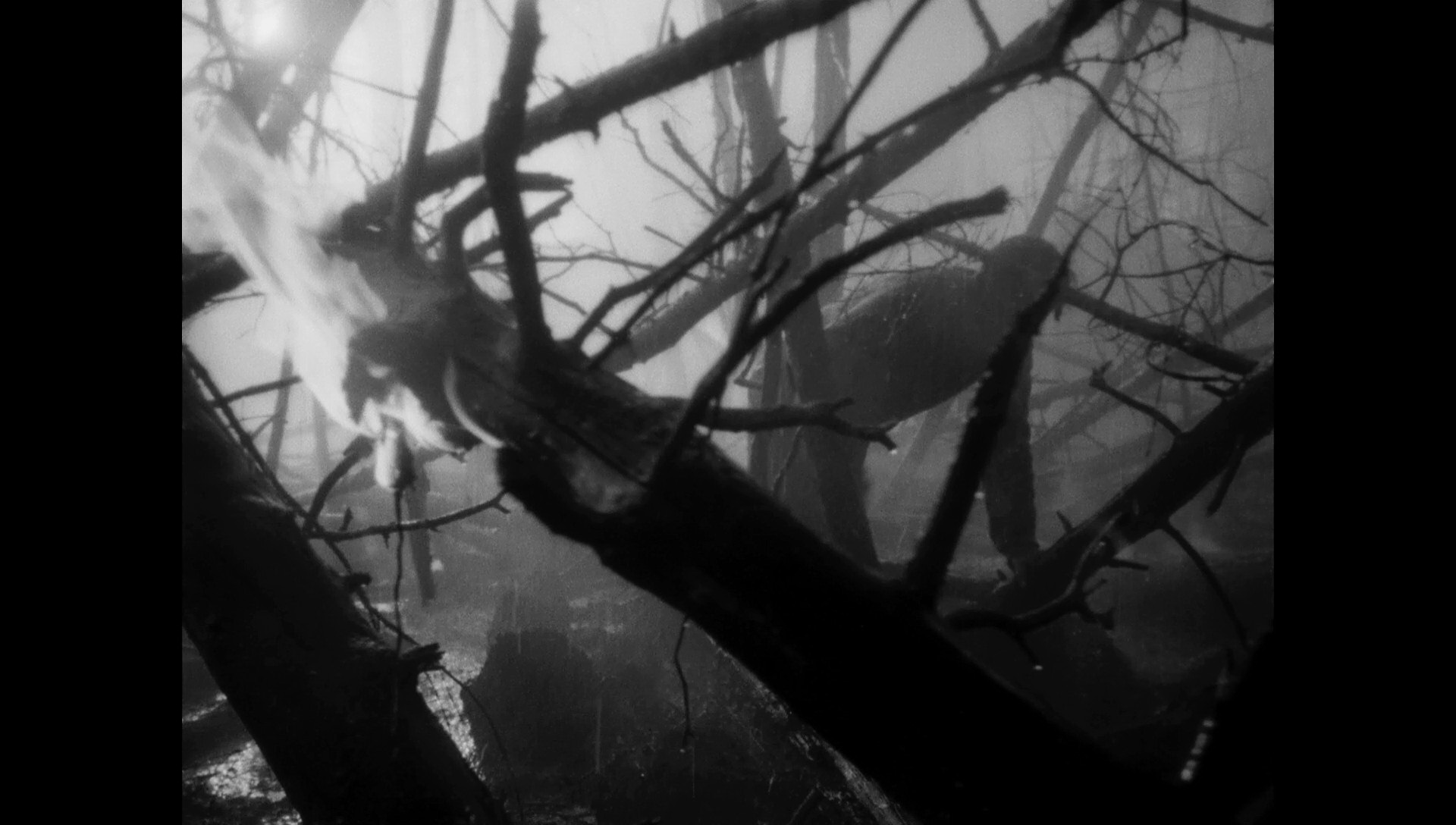 未寄出的信剧照的剧照