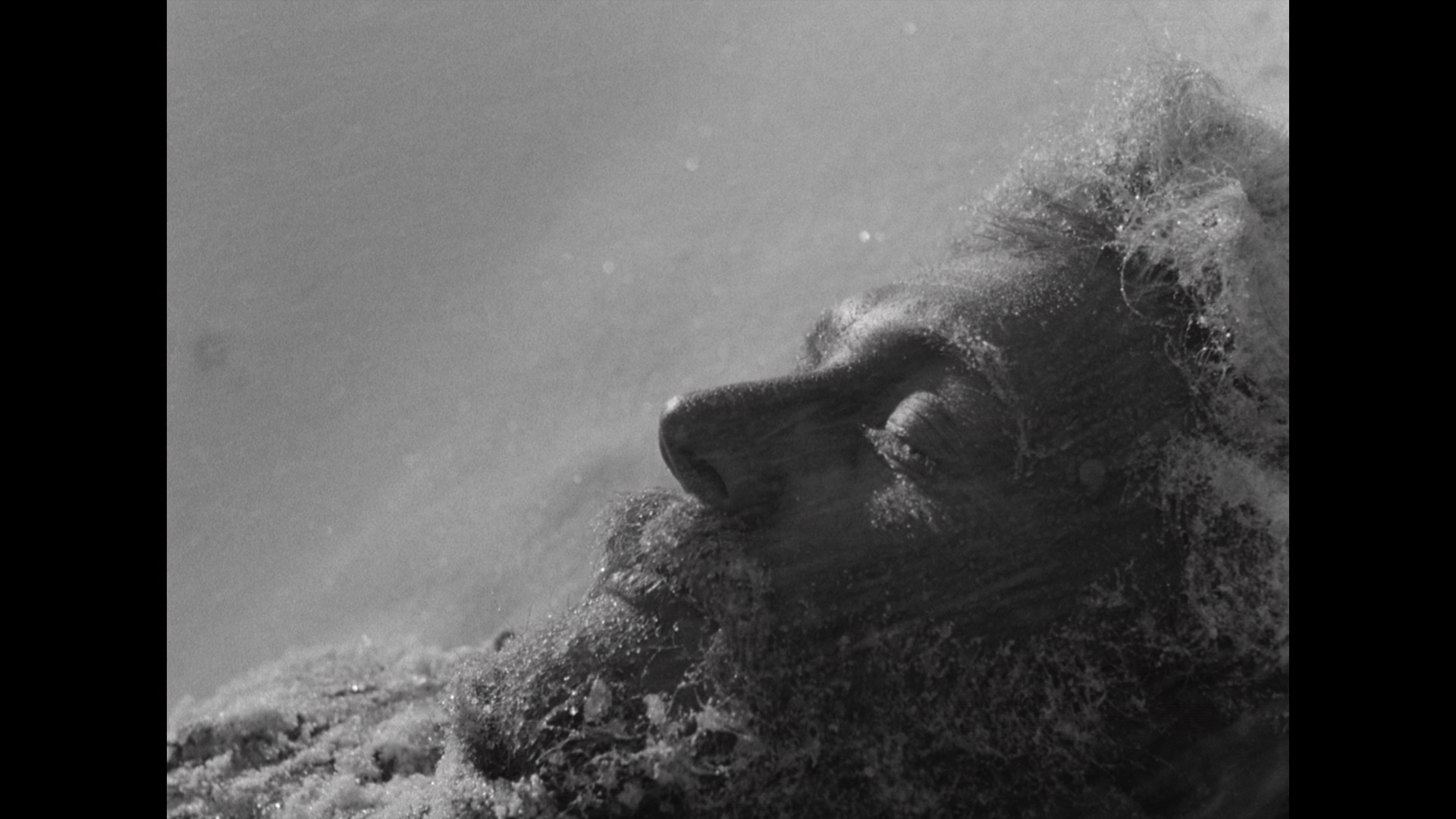 未寄出的信剧照的剧照