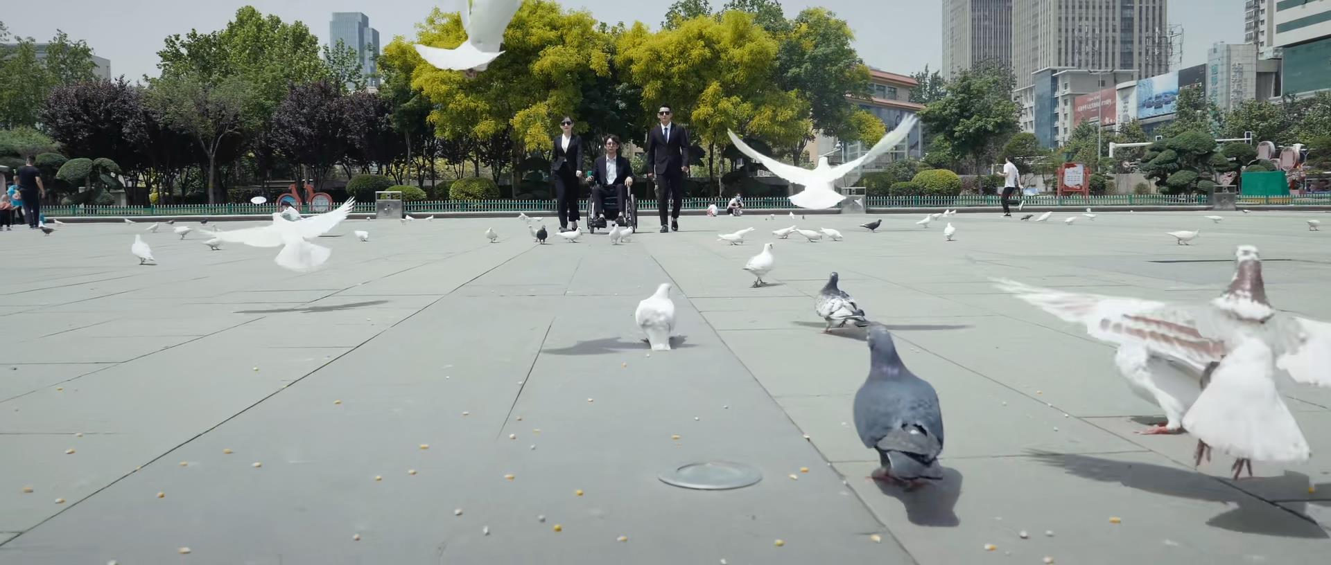 非常保镖剧照的剧照