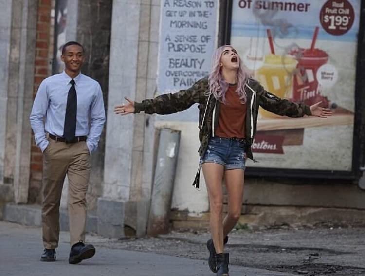 一年生活剧照的剧照