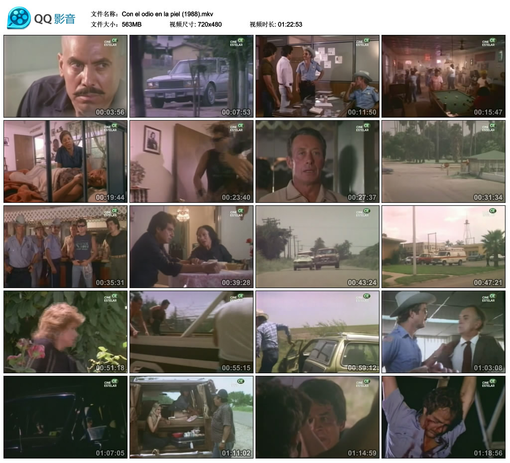 魔鬼皮肤剧照的剧照