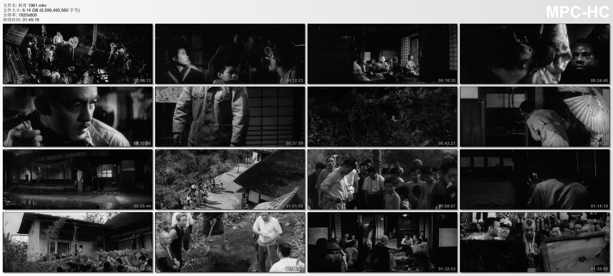 饲育剧照的剧照