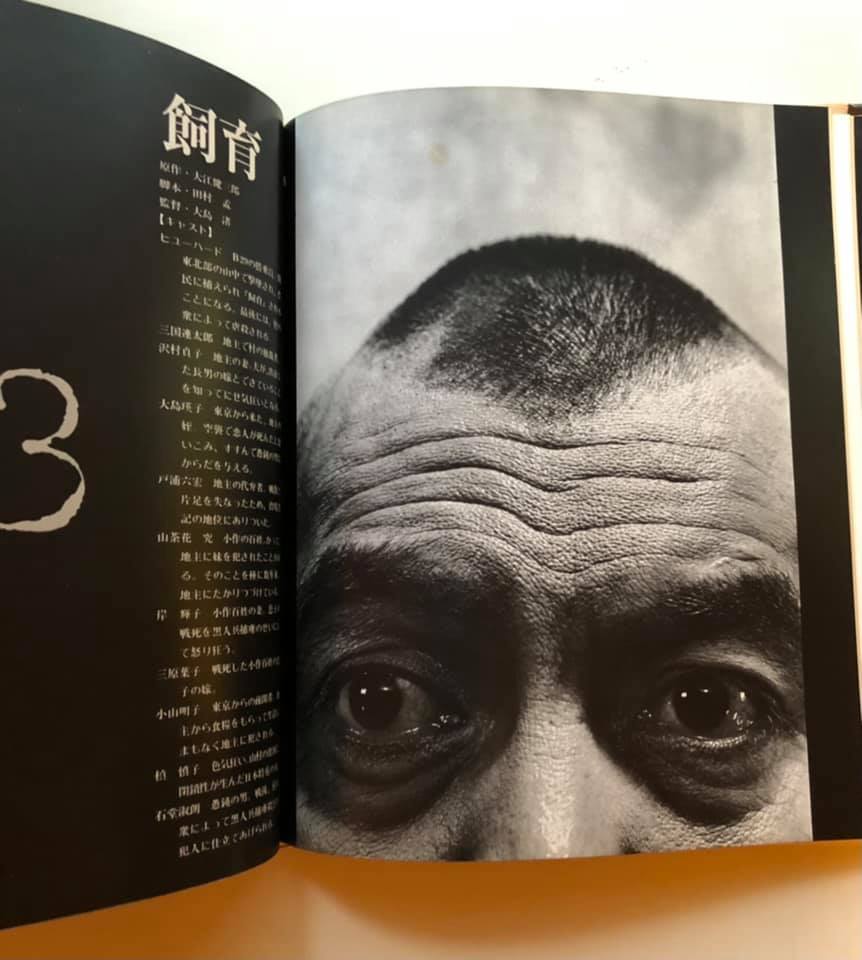 饲育剧照的剧照