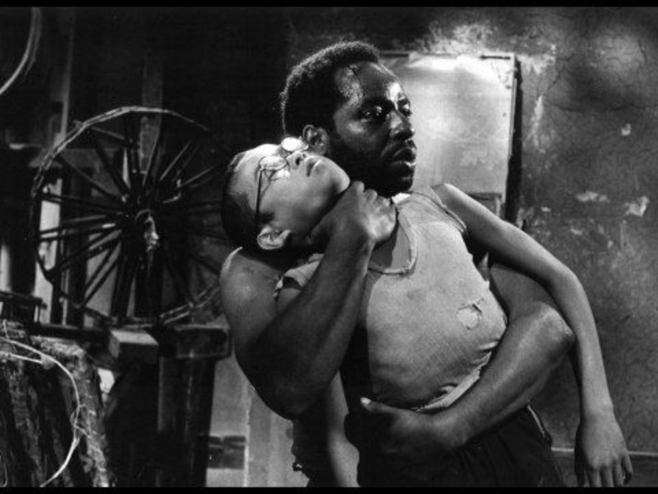 饲育剧照的剧照