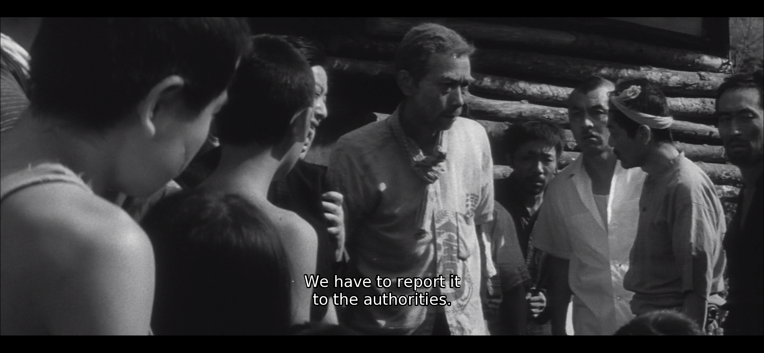 饲育剧照的剧照