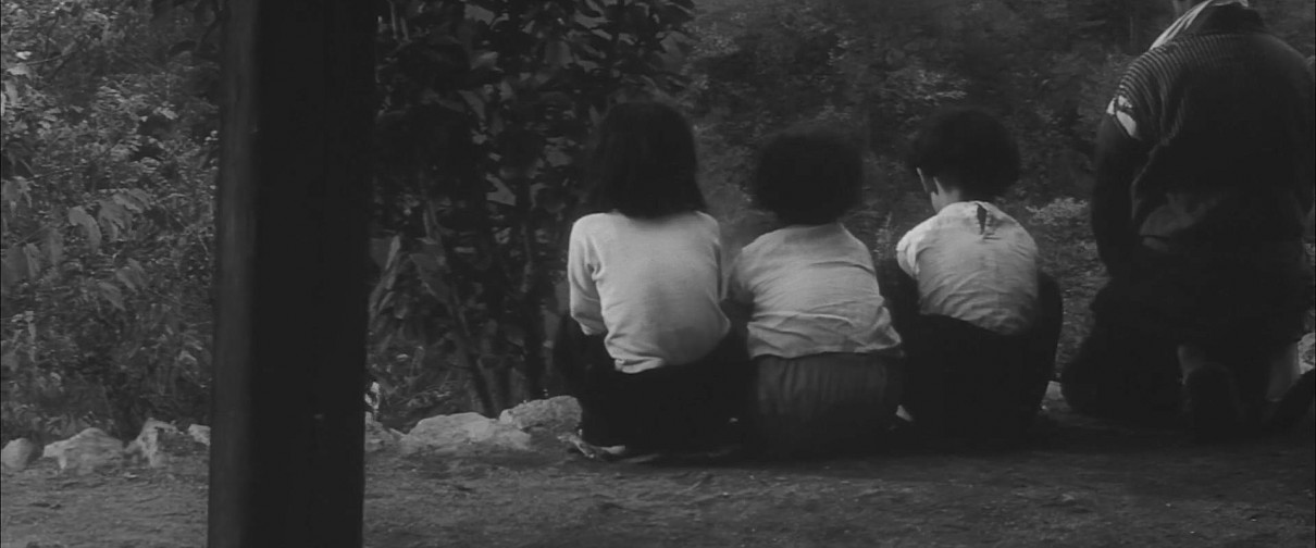 饲育剧照的剧照