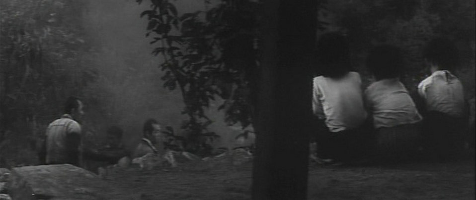 饲育剧照的剧照