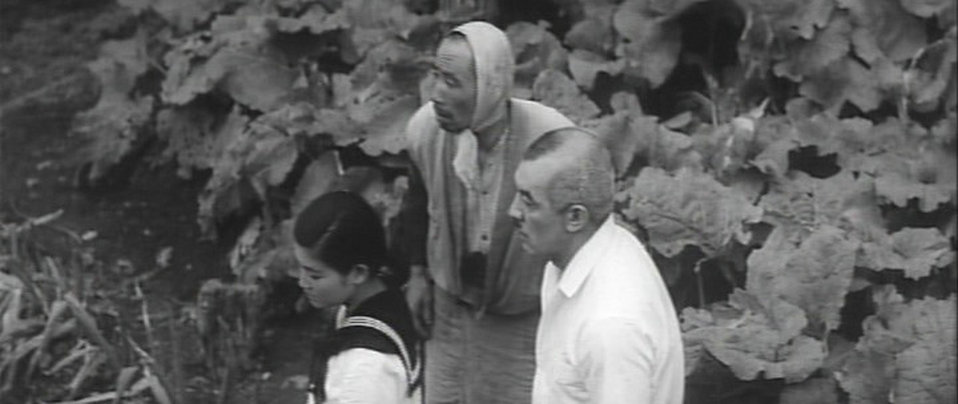 饲育剧照的剧照