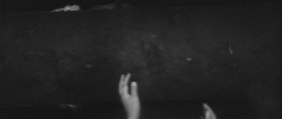 饲育剧照的剧照