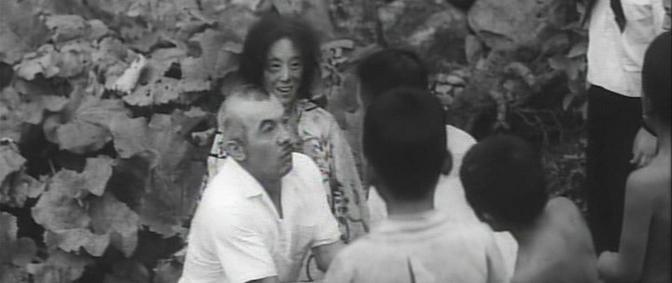 饲育剧照的剧照