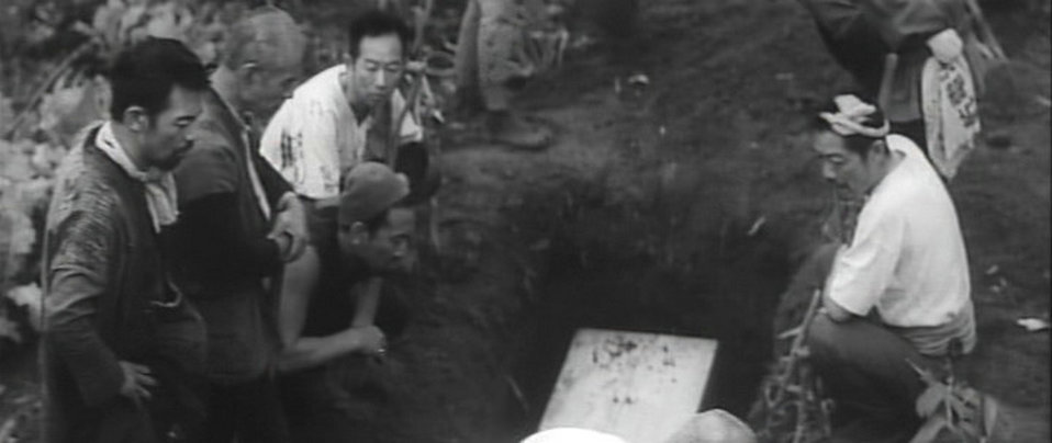 饲育剧照的剧照