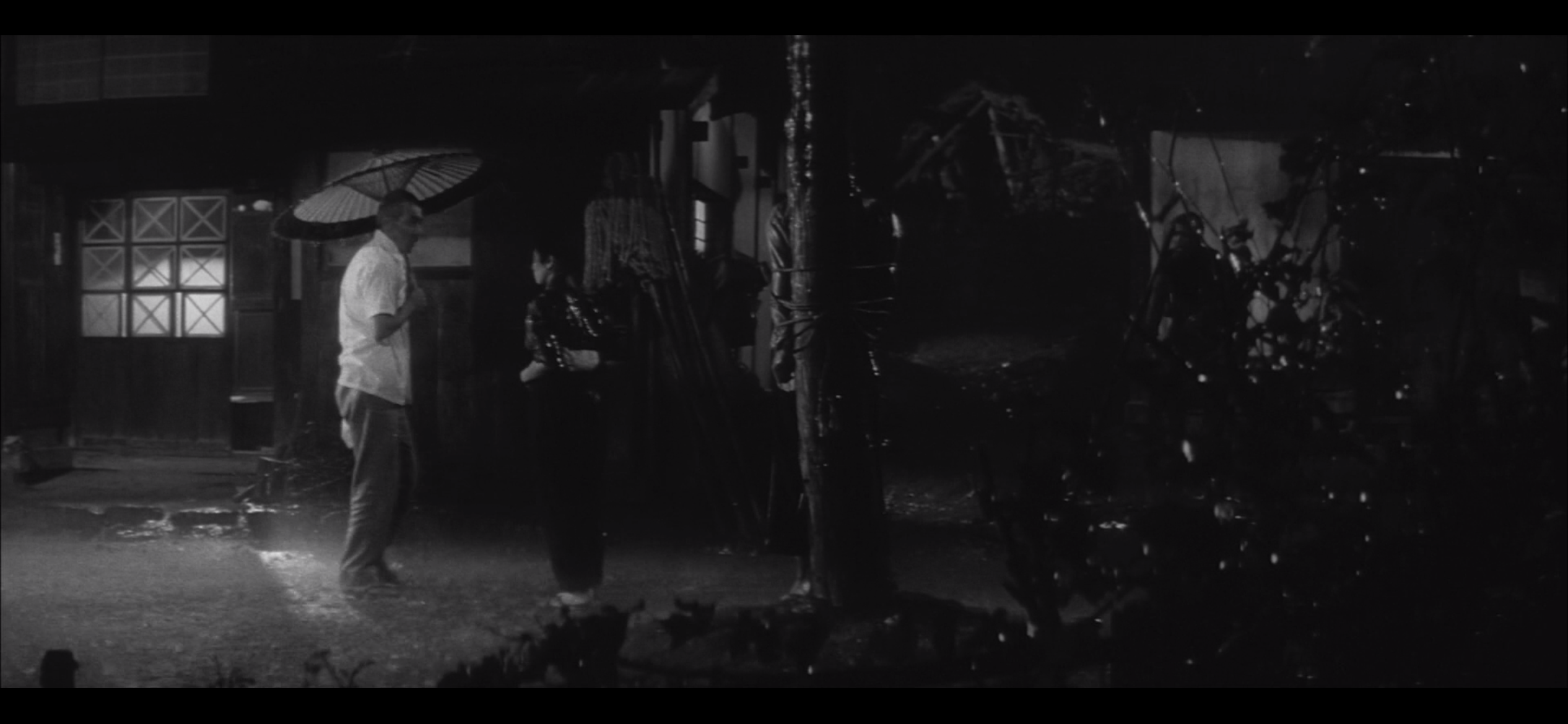 饲育剧照的剧照