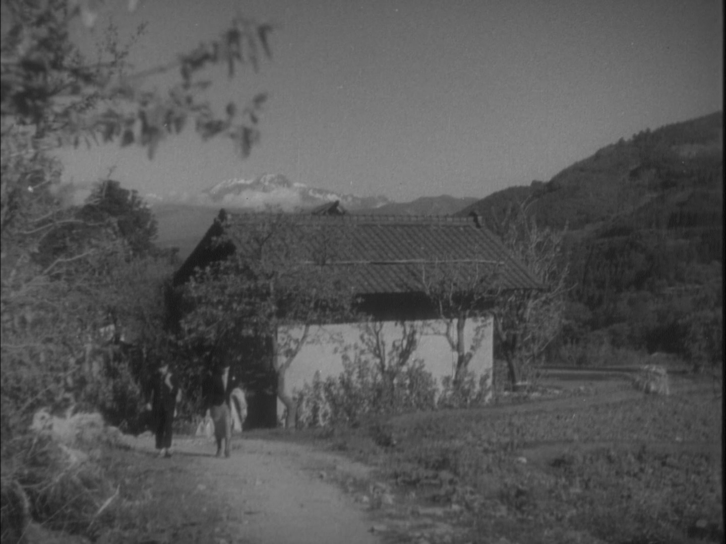 愿妻如蔷薇剧照的剧照