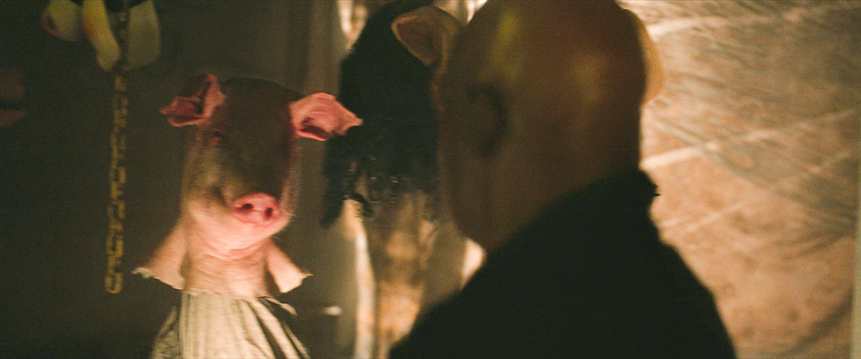 电锯惊魂9：漩涡剧照的剧照