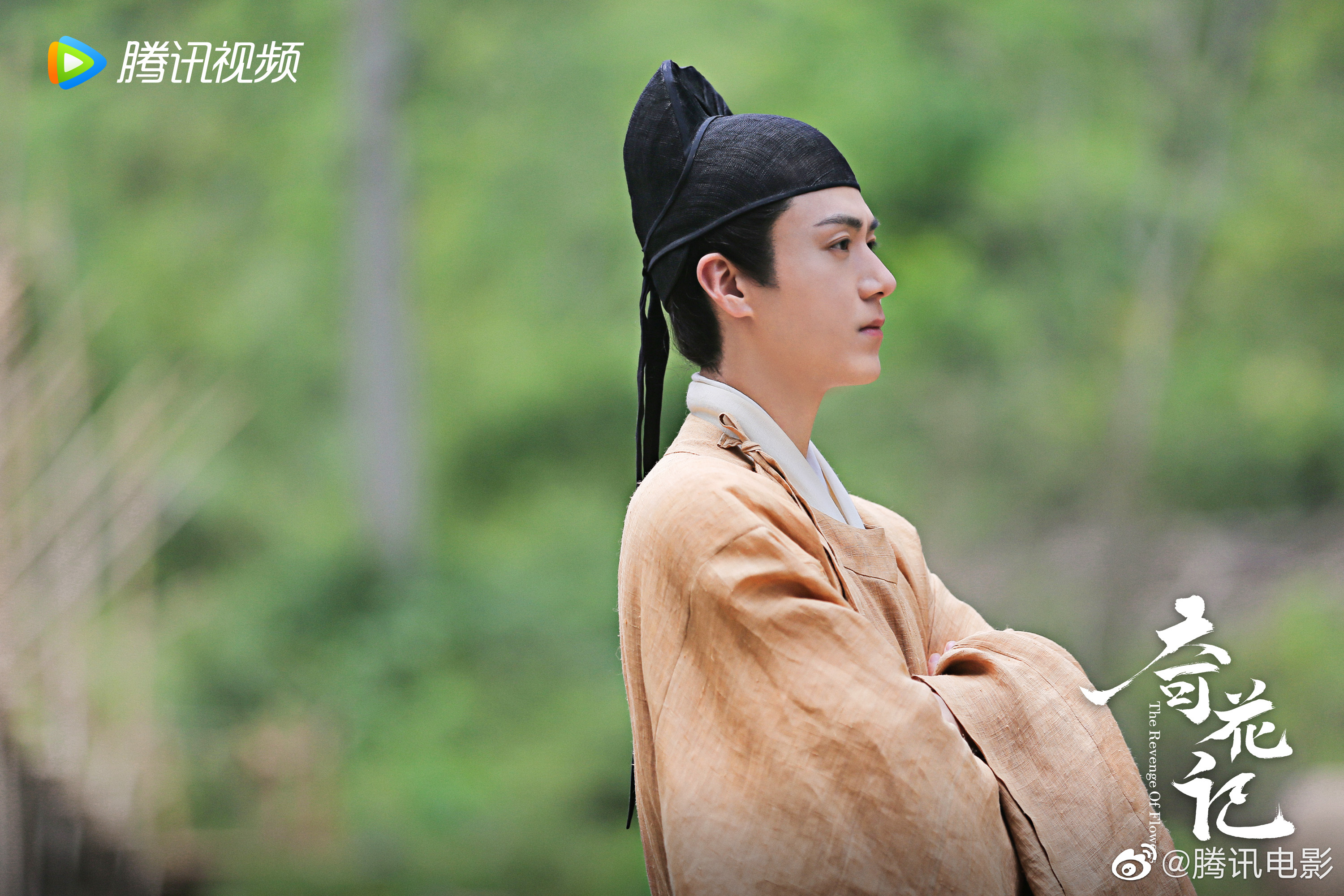 奇花记剧照的剧照