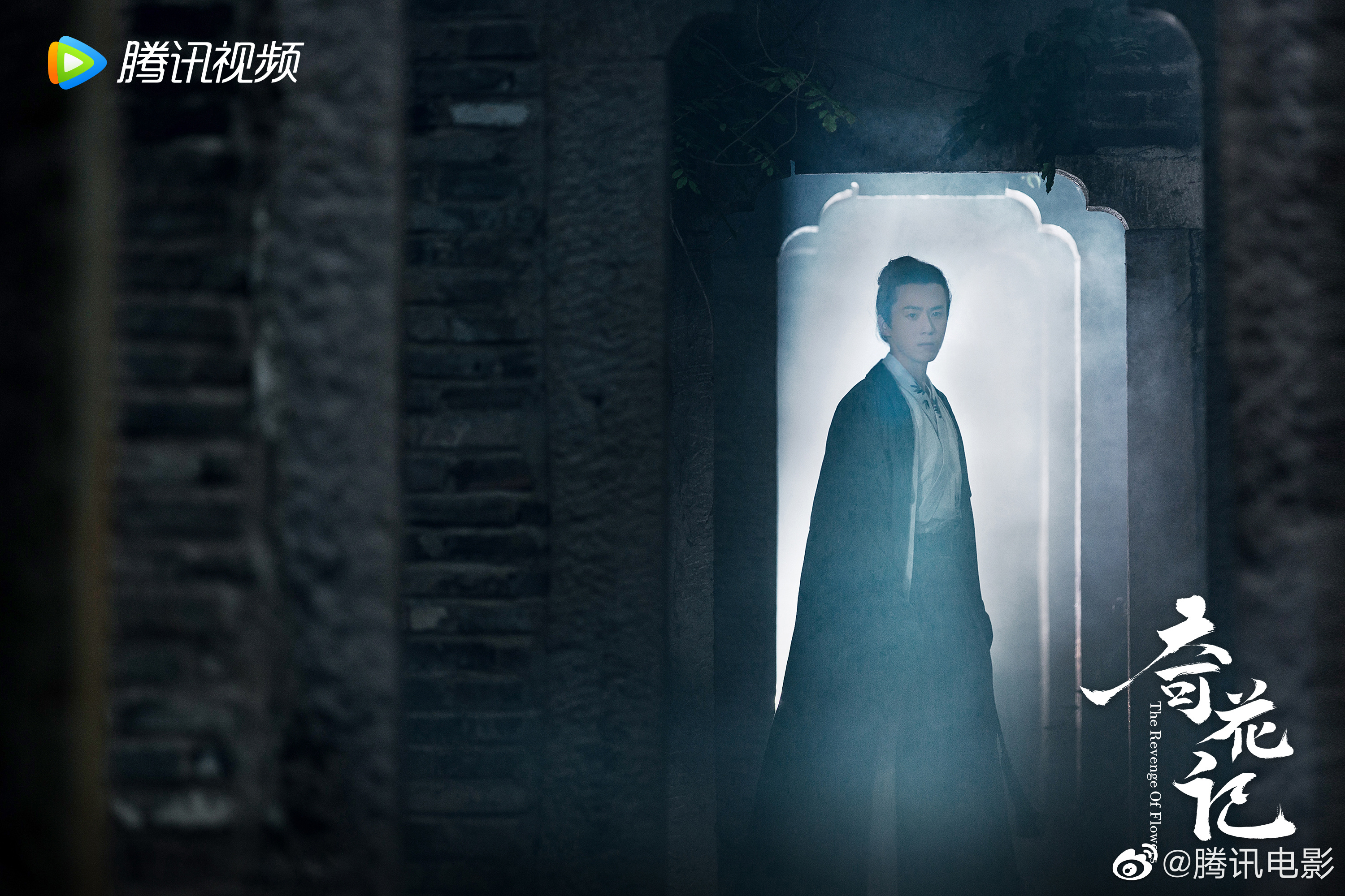 奇花记剧照的剧照