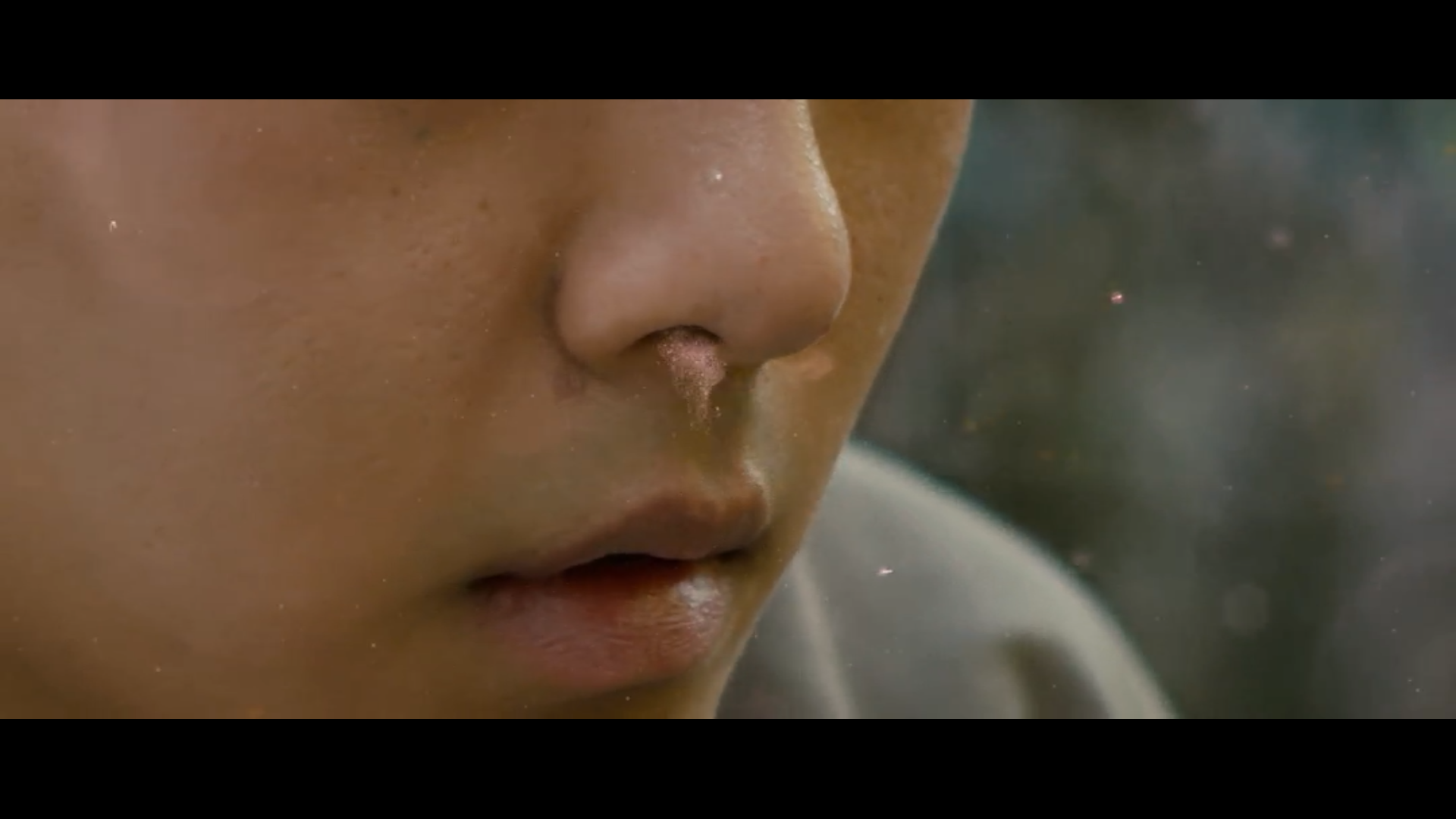 奇花记剧照的剧照