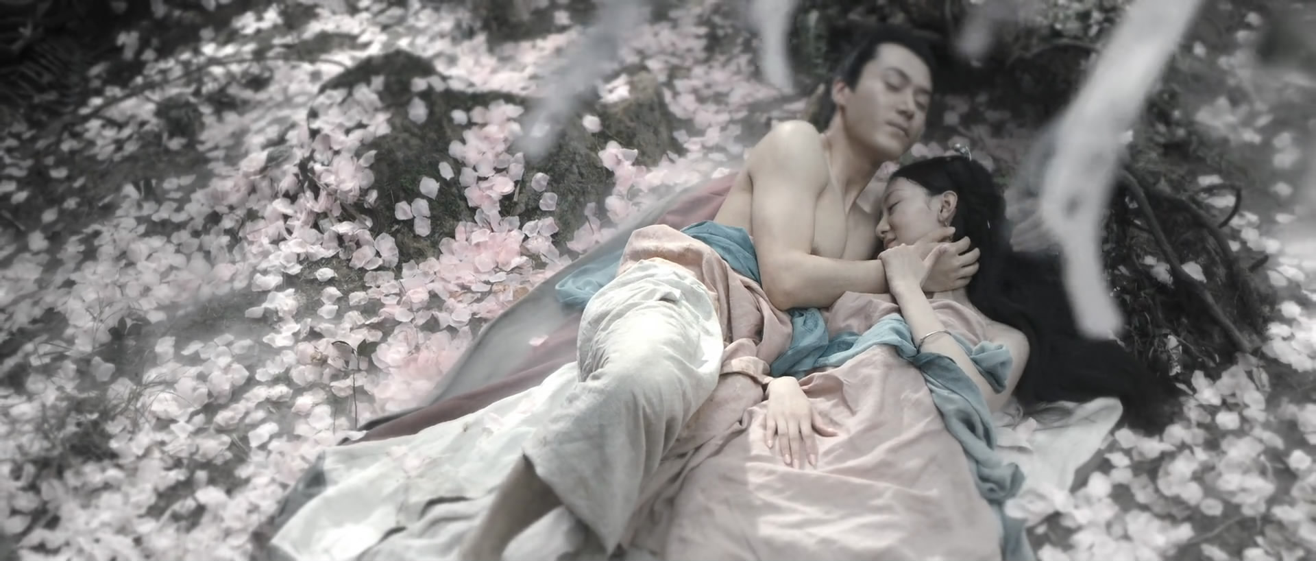 奇花记剧照的剧照