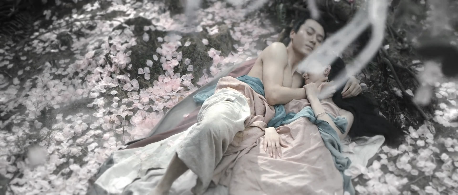 奇花记剧照的剧照