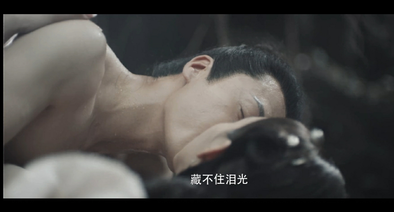 奇花记剧照的剧照