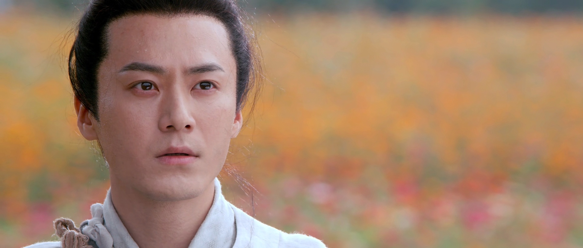 奇花记剧照的剧照