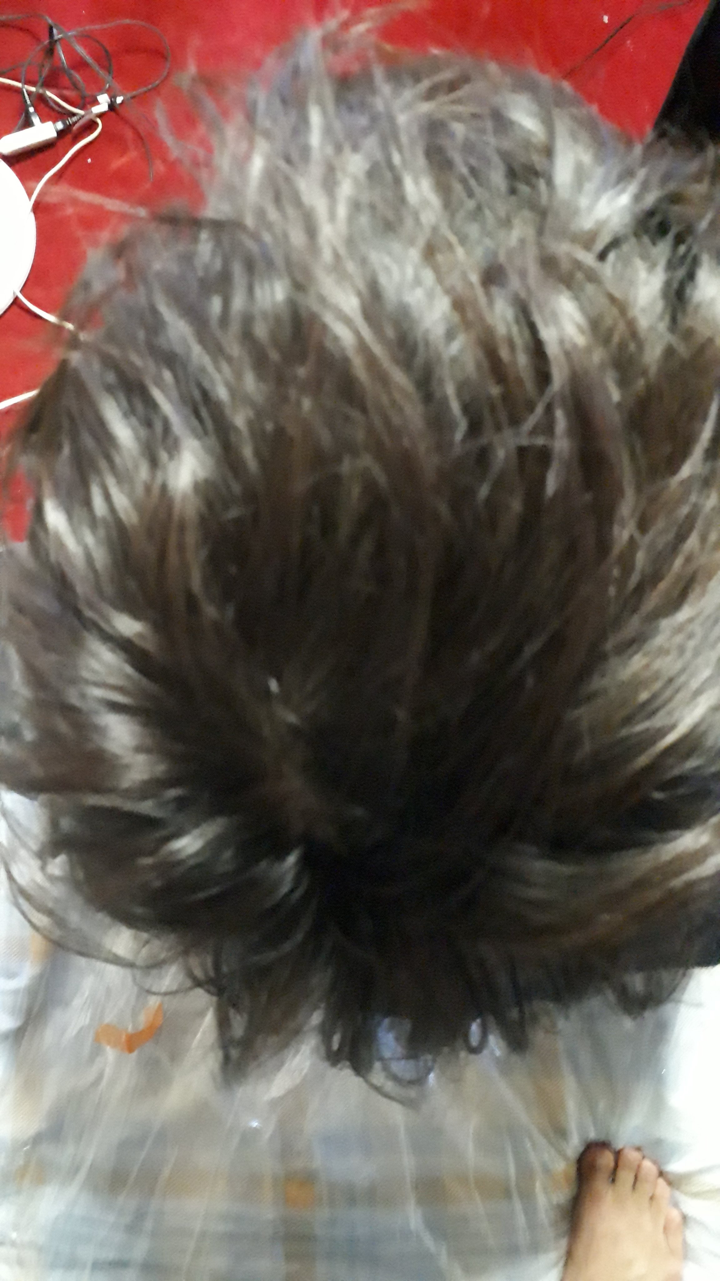 剧场版 情色小说家~playback~剧照的剧照