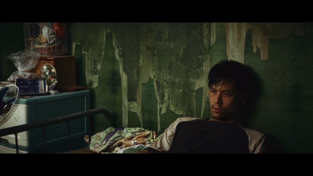 热带往事剧照的剧照