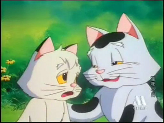 猫咪小贝剧照的剧照