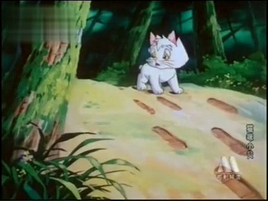 猫咪小贝剧照的剧照