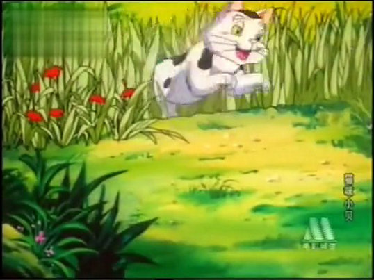 猫咪小贝剧照的剧照