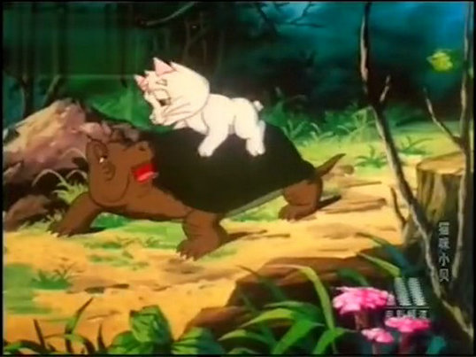 猫咪小贝剧照的剧照