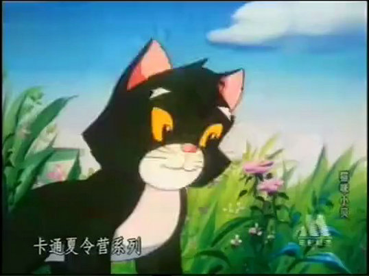 猫咪小贝剧照的剧照