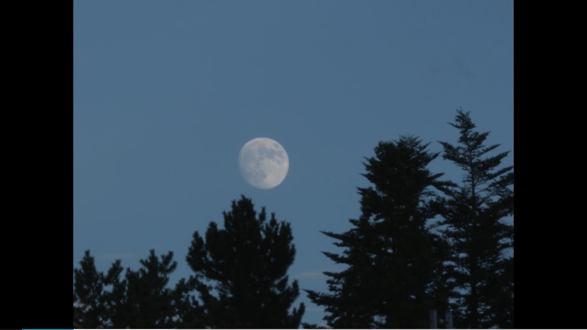 河濑直美，你身处何方？剧照的剧照