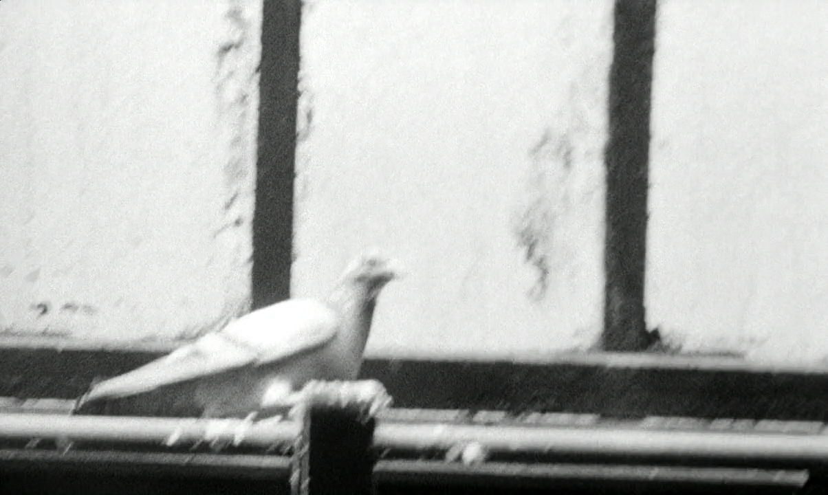 人咬狗剧照的剧照