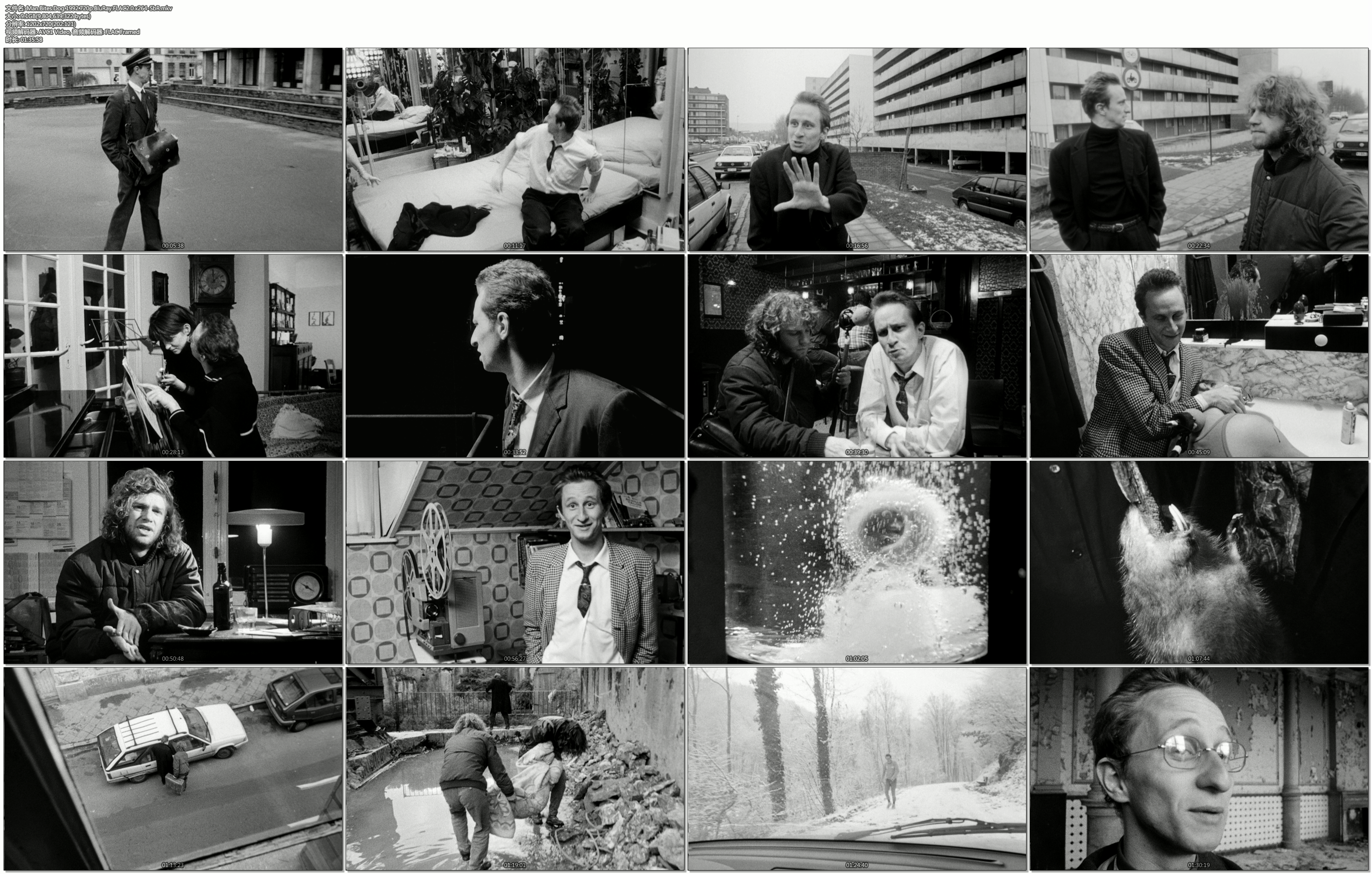 人咬狗剧照的剧照