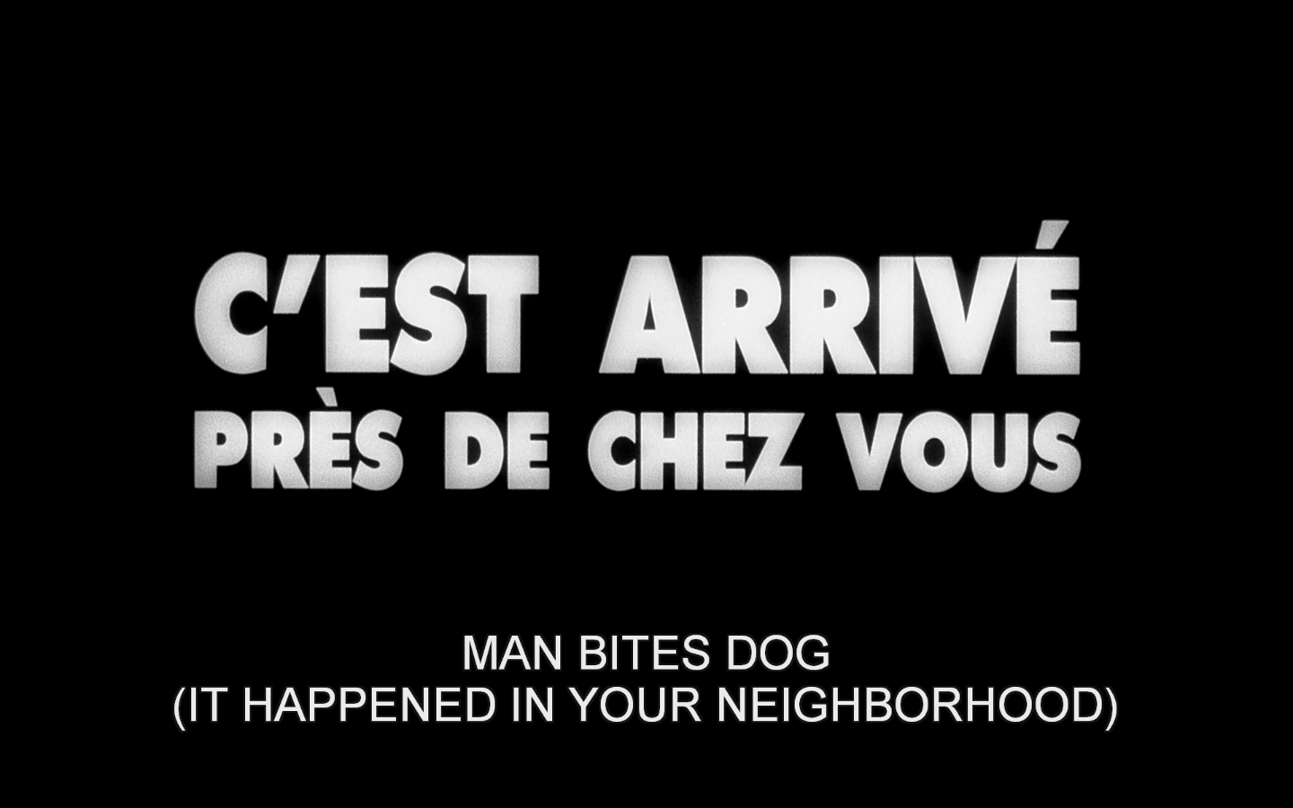 人咬狗剧照的剧照