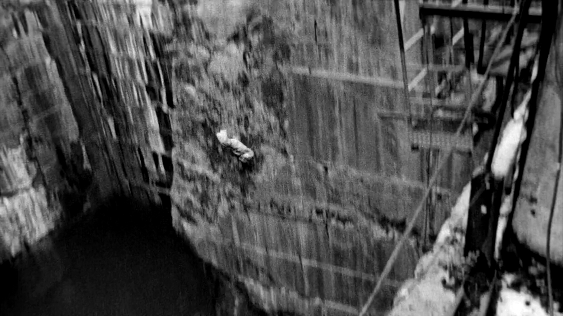 人咬狗剧照的剧照