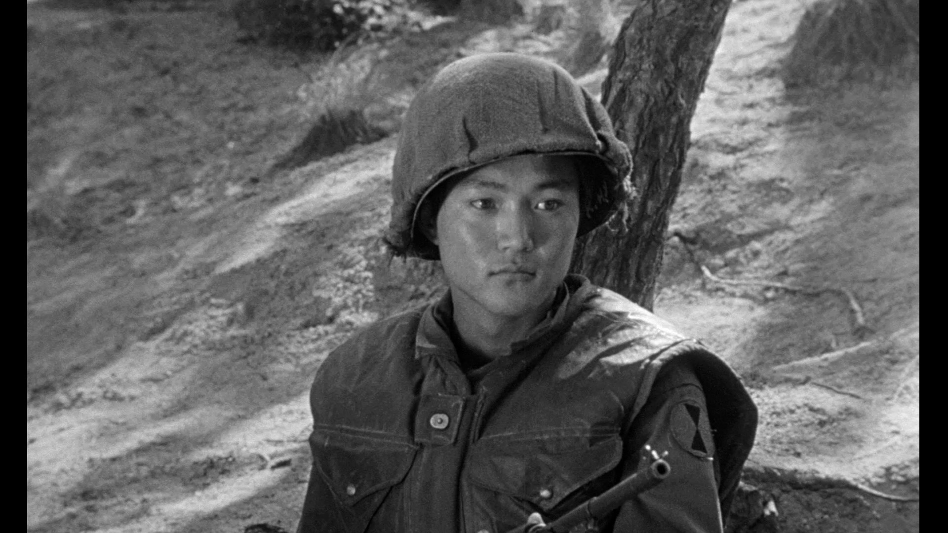 停火剧照的剧照