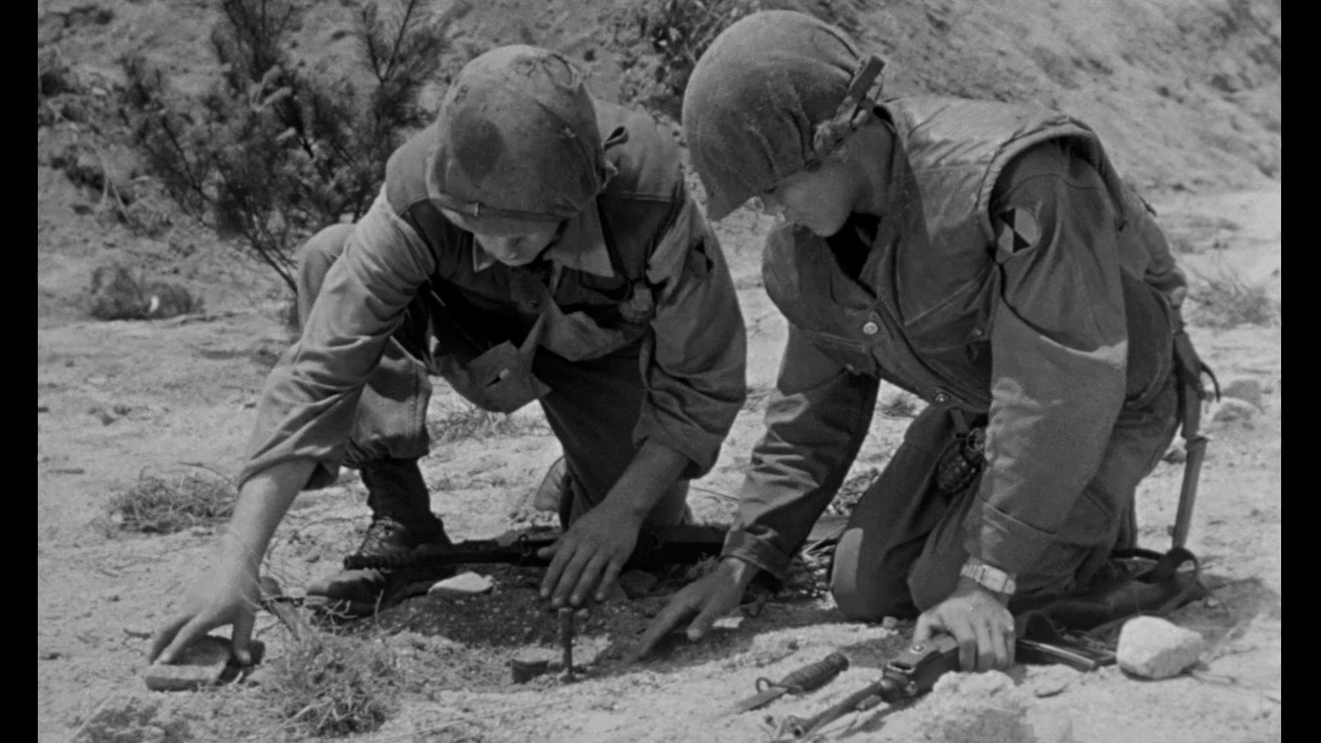 停火剧照的剧照