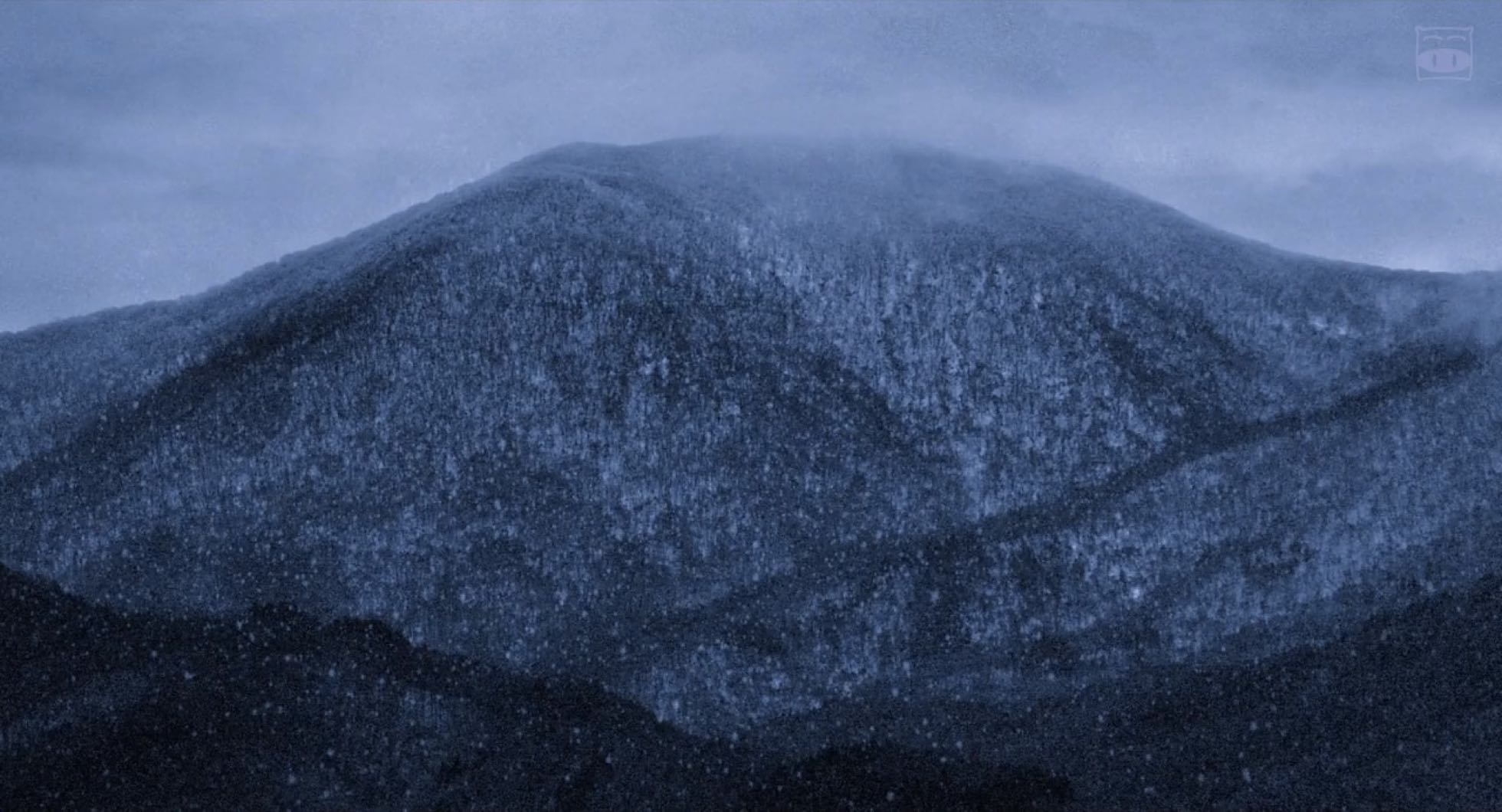 我啊，走自己的路剧照的剧照