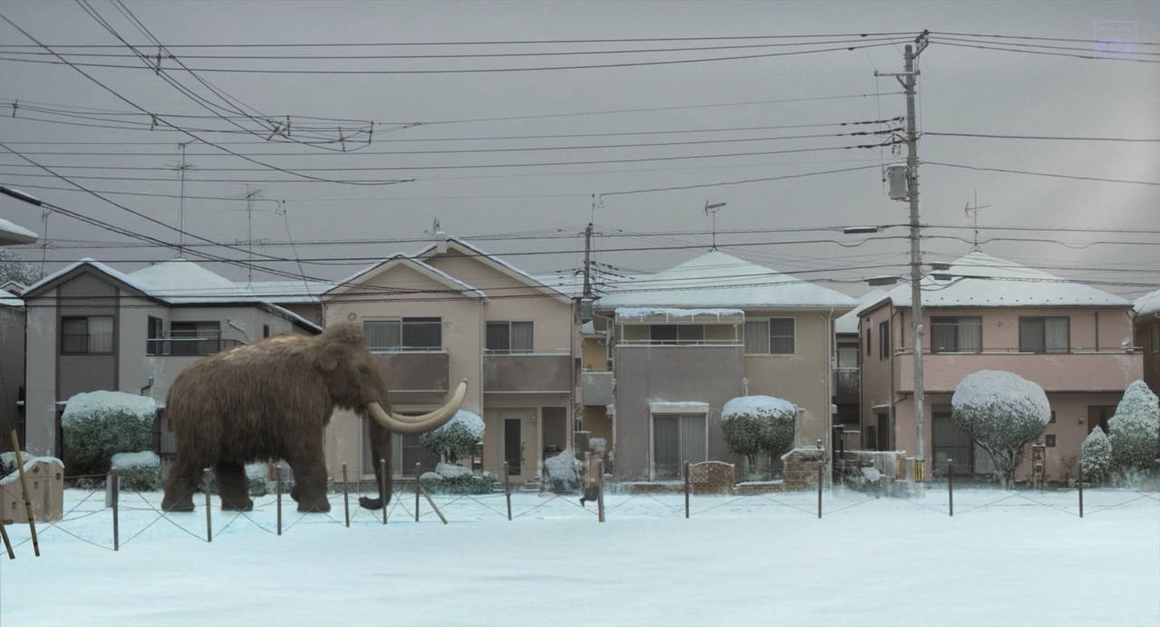 我啊，走自己的路剧照的剧照