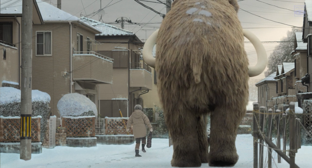 我啊，走自己的路剧照的剧照