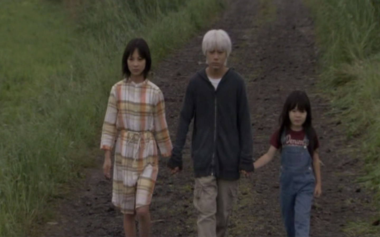 金丝雀剧照的剧照