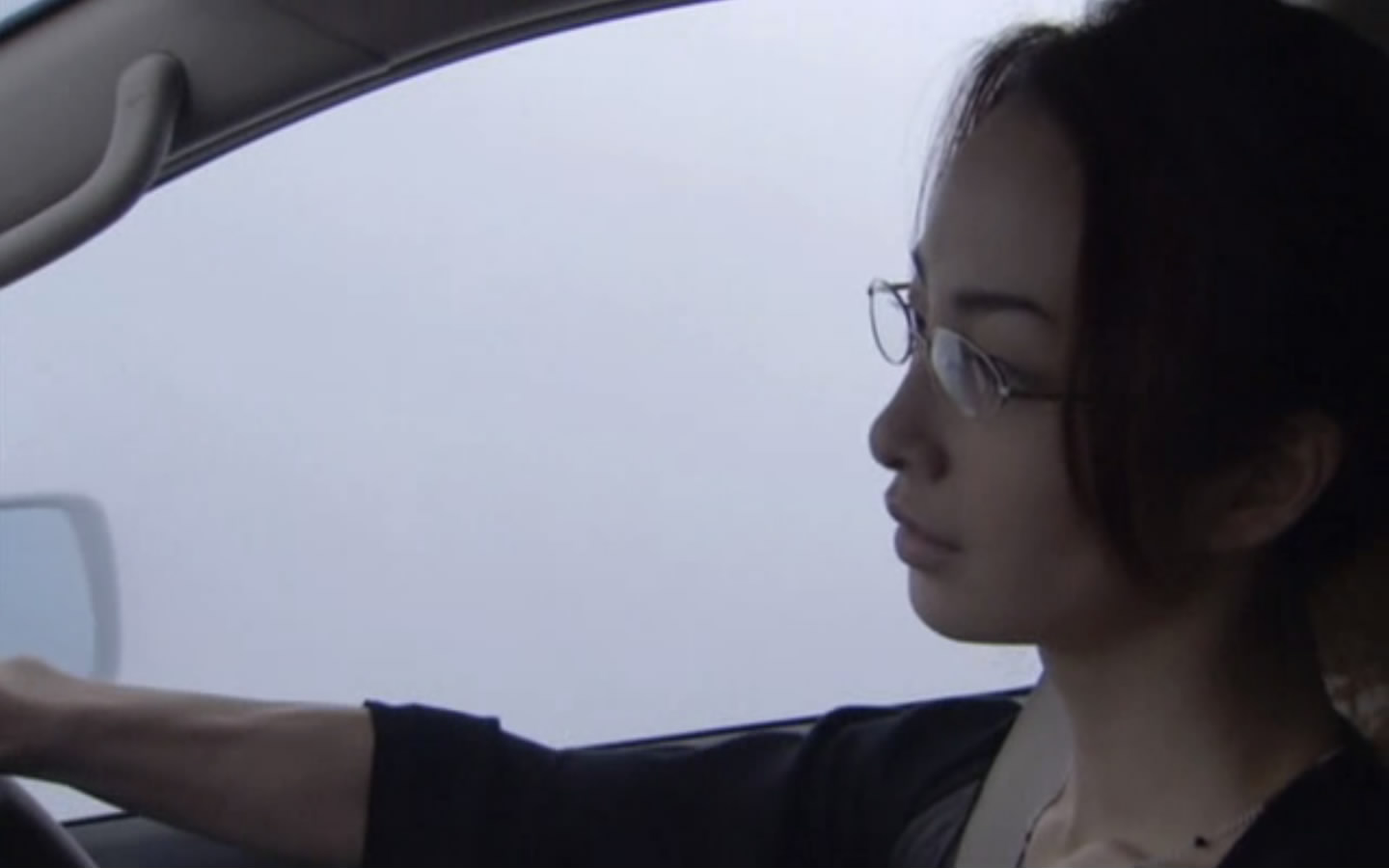 金丝雀剧照的剧照