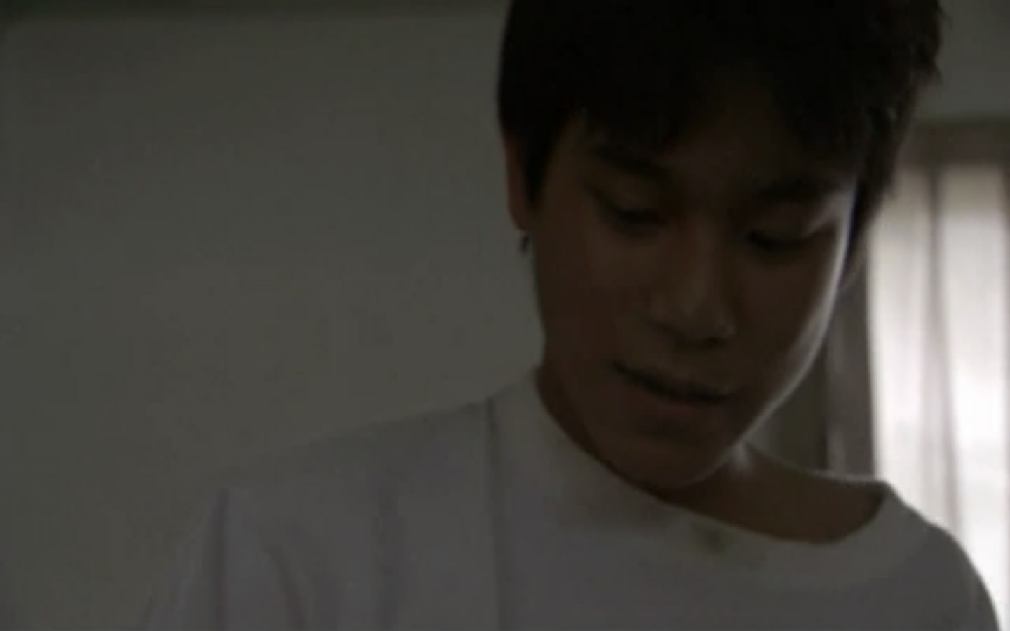 金丝雀剧照的剧照