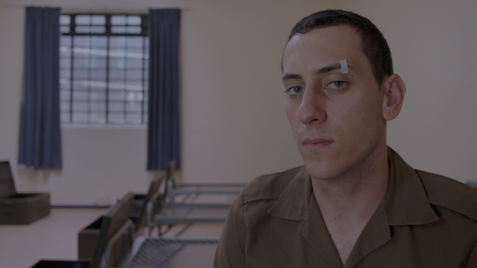 金丝雀剧照的剧照