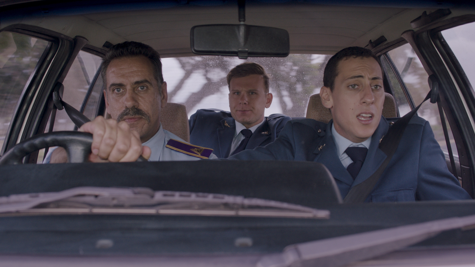 金丝雀剧照的剧照